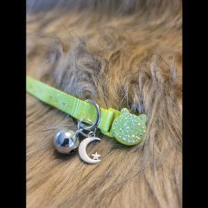 Moon Kitty Cat Collar Fluorescent Yellow/Green